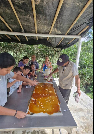 Ruta agroturistica El Palmar