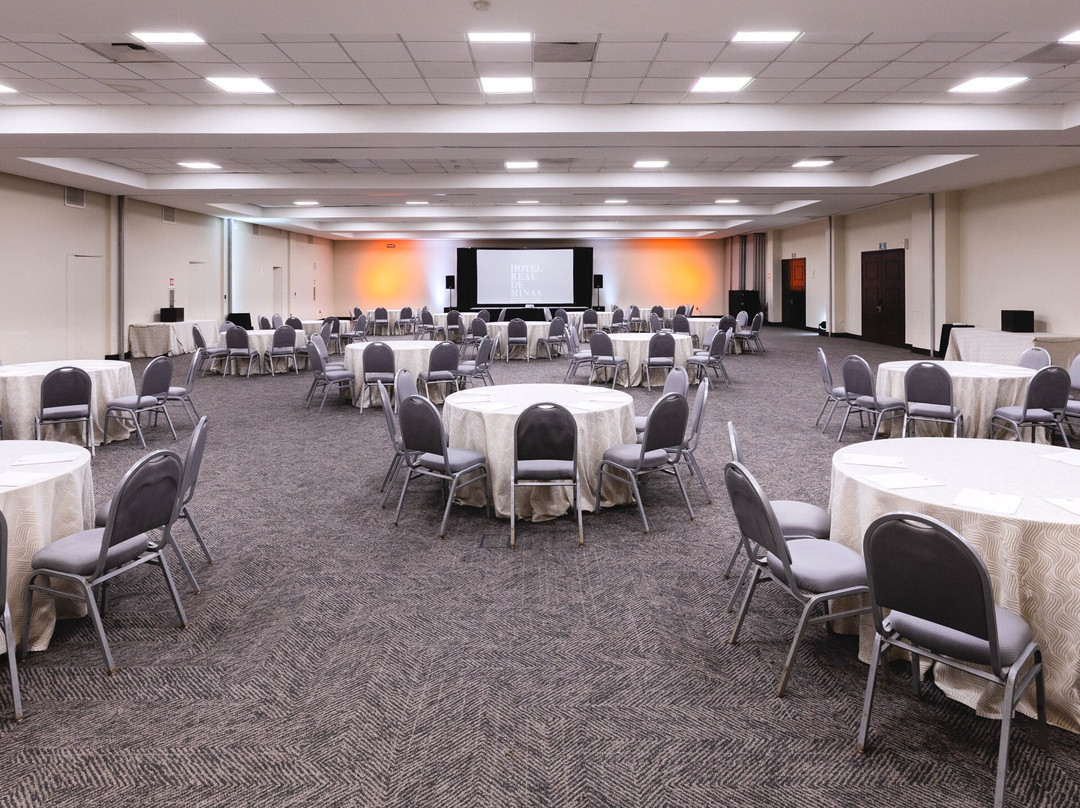 米纳斯皇家圣米格尔阿连德酒店主图