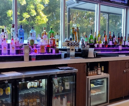 Wyndham Garden Orlando Airport主图