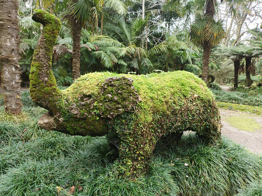 Parque Terra Nostra-富尔纳斯必去景点