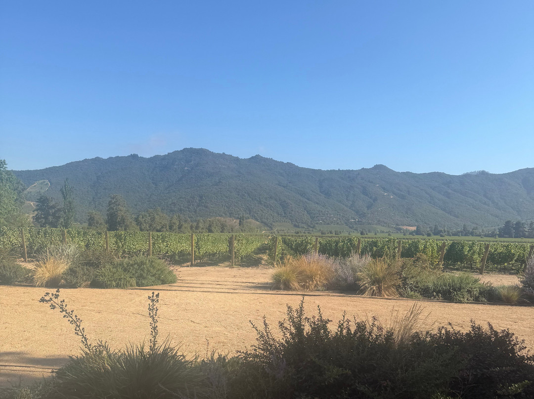 Clos Apalta-圣克鲁斯必去景点