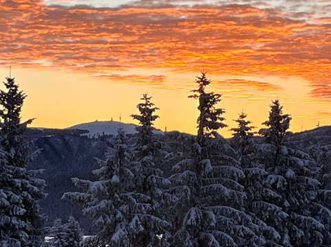 Berghaus Freiburg主图