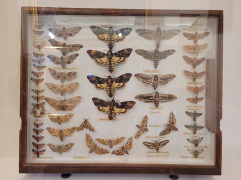 Y Gaer-布雷肯必去景点