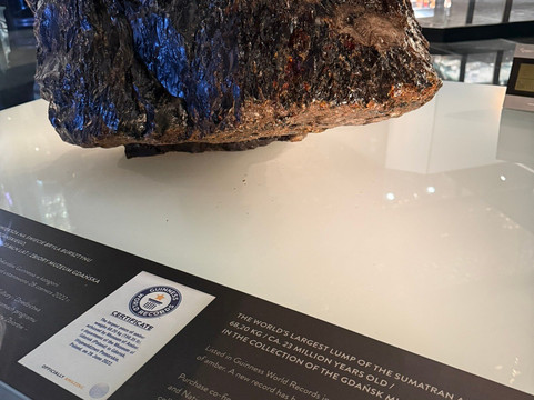 Museum of Amber - Museum of Gdansk-格但斯克必去景点