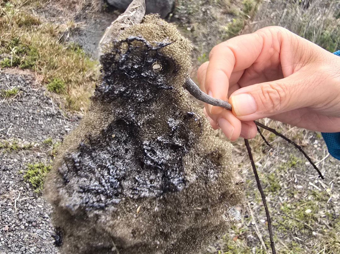 Devil's throat-夏威夷火山国家公园必去景点