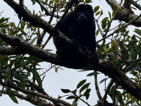Tenorio Adventure Company-瓜纳卡斯特省必去景点