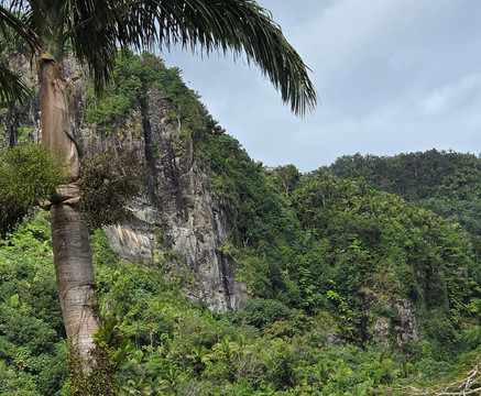 Yokahu Tower-Rio Grande必去景点
