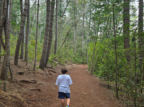 Aiea Loop Trail-阿伊亚必去景点