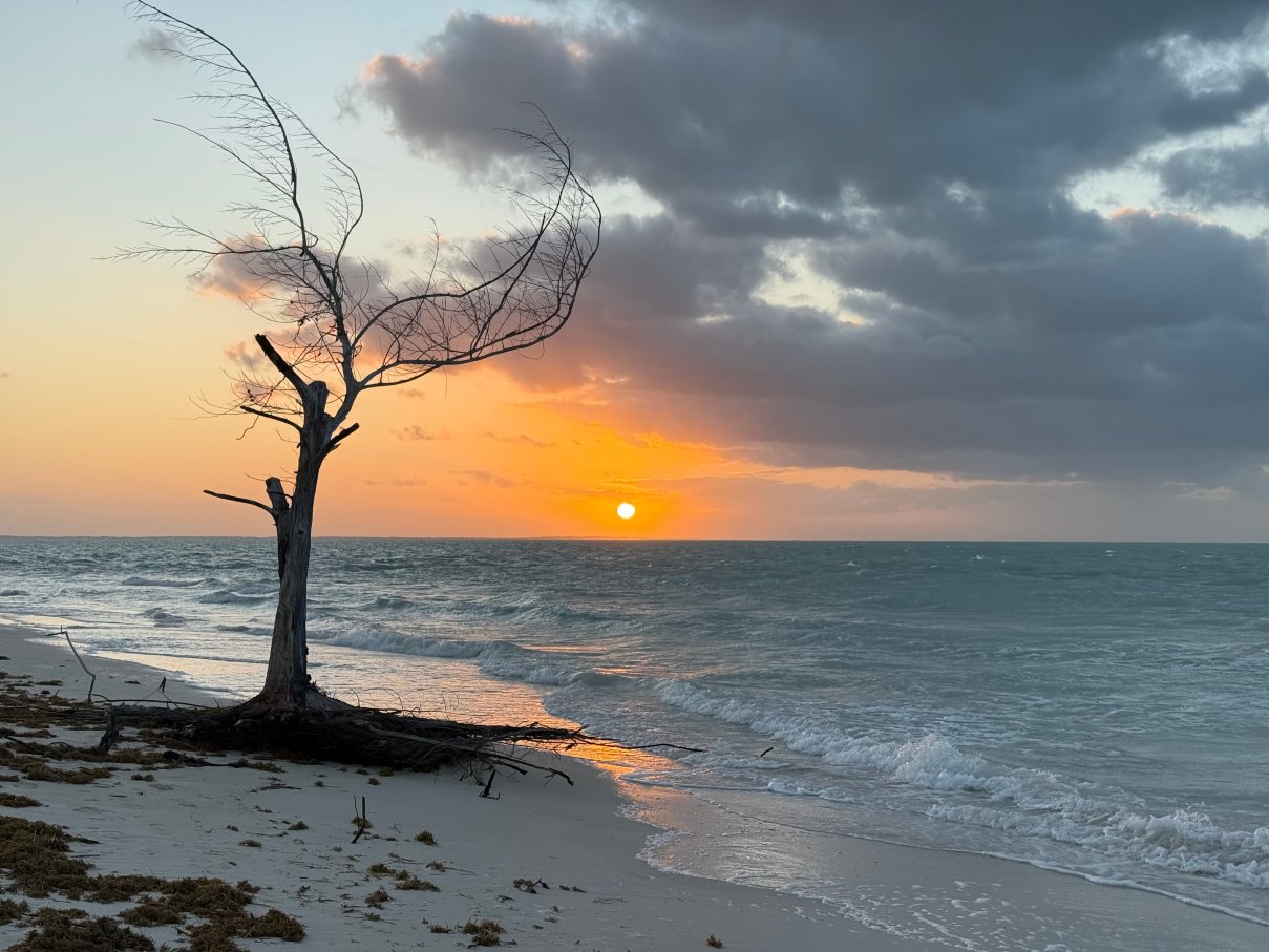 Hotel El Nido Holbox-官方