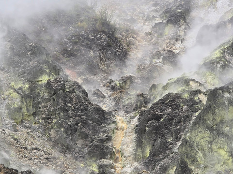 Safari Tours & Travel-万鸦老必去景点