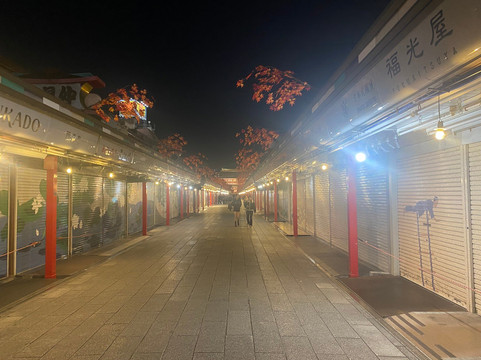 东京浅草曼迪设计酒店主图