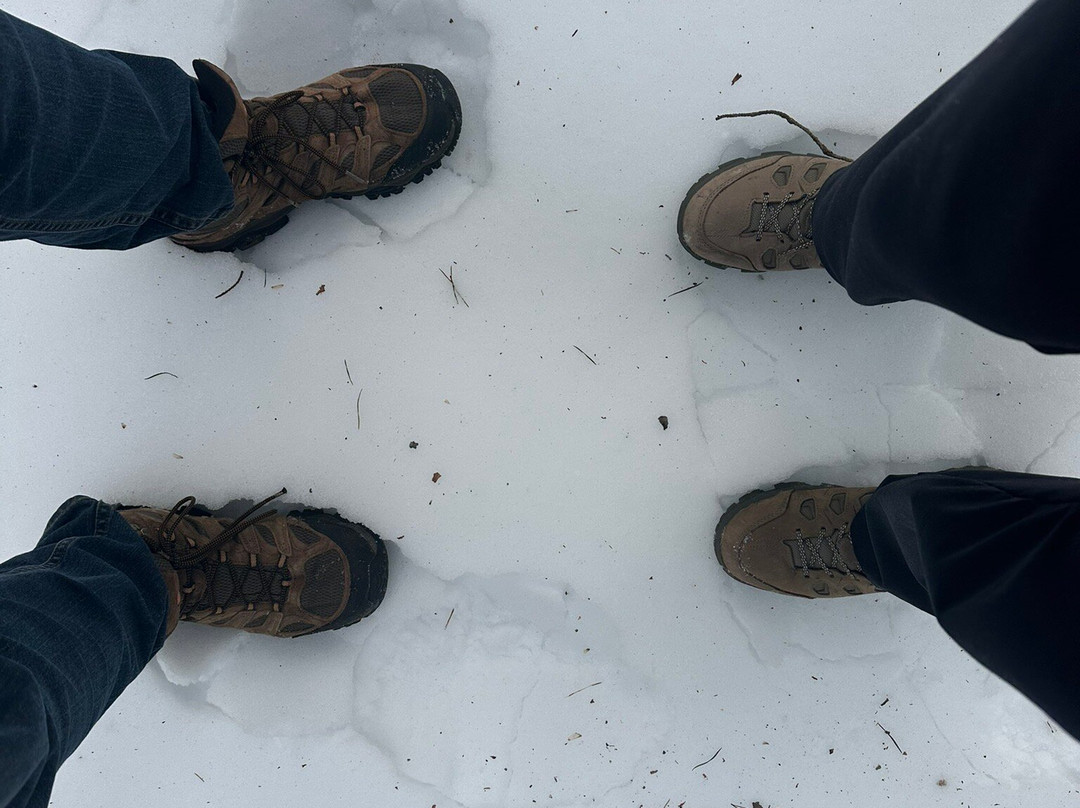 Natural Lands Trust Harold N. Peek Preserve-Millville必去景点