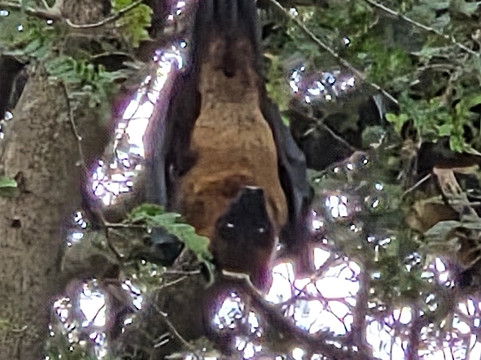 Sri Lanka Explorer-瓦都瓦必去景点
