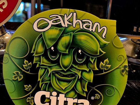 The Kings Head Pollington主图