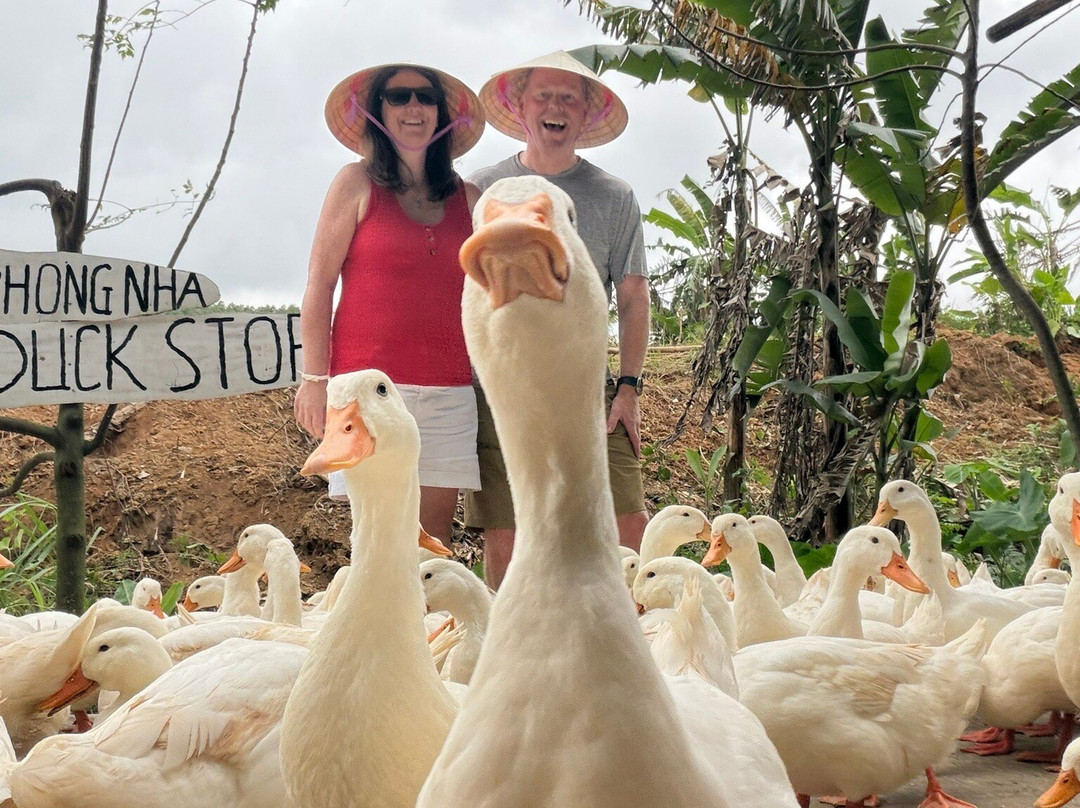 Phong Nha Explorer-洞海必去景点
