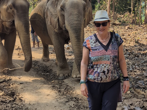 MandaLao Elephant Conservation-琅勃拉邦必去景点