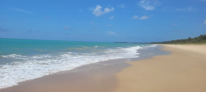 Vila Gale Alagoas-泳池
