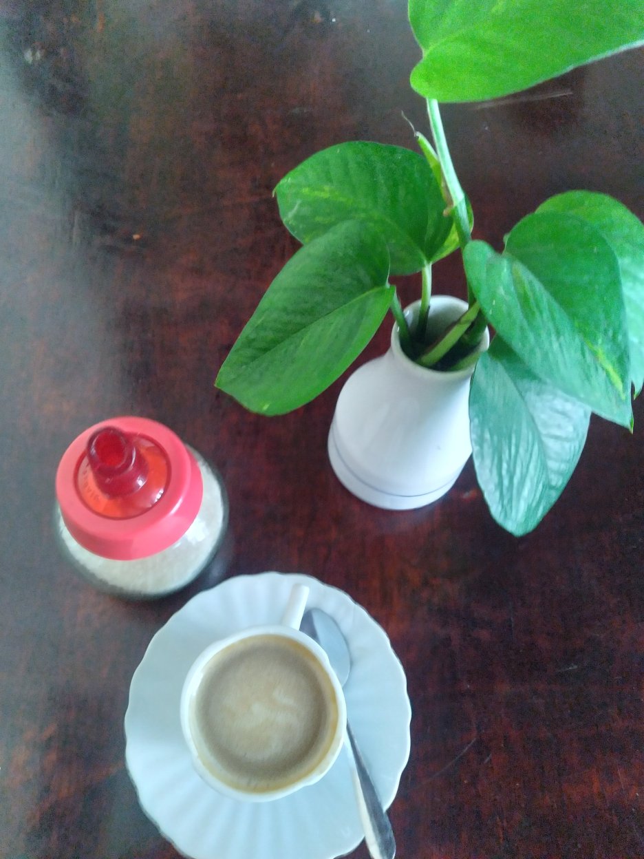 Hotel El Colonial-官方