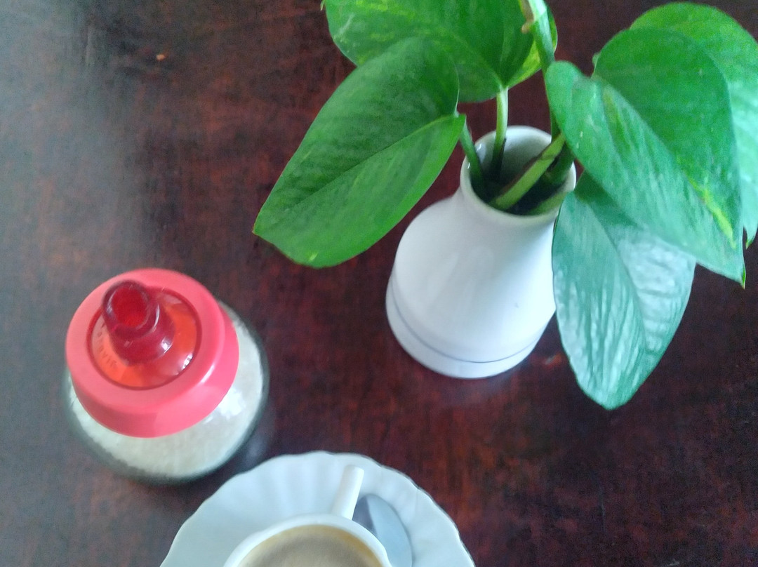 Hotel El Colonial主图