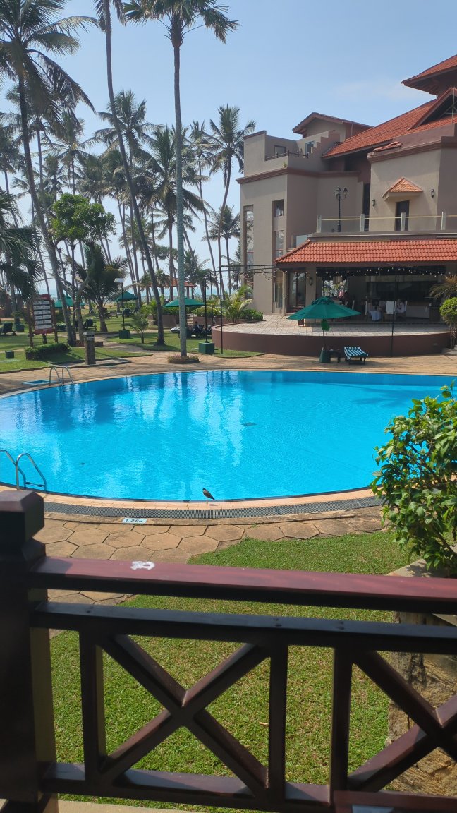 皇家棕榈海滩酒店-泳池