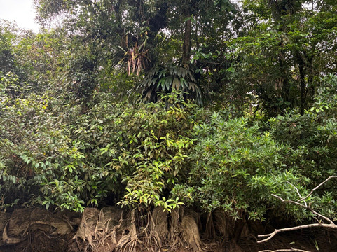 Tundo Tours-Bahia Solano必去景点