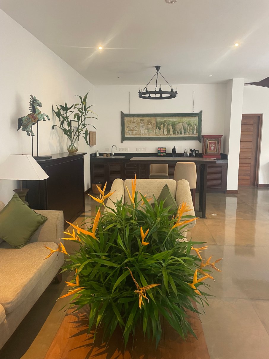 阿迪亚精品酒店-客卧