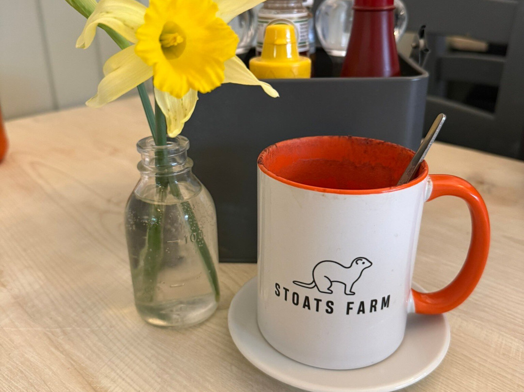 Stoats Cafe主图