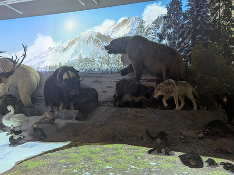 Cleveland Museum of Natural History-克利夫兰必去景点