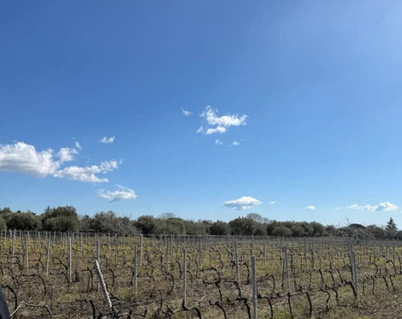 Tenuta Papale-Belpasso必去景点