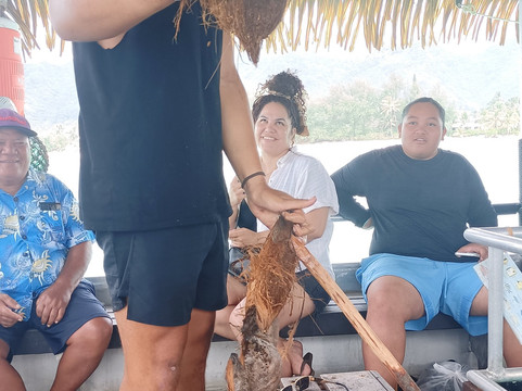 Koka Lagoon Cruises-穆里必去景点