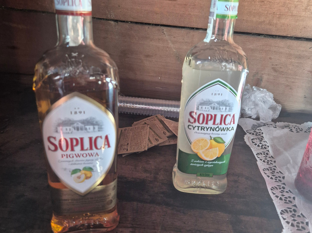 Mr.Shuttle Tours & Transfers Krakow-克拉科夫必去景点