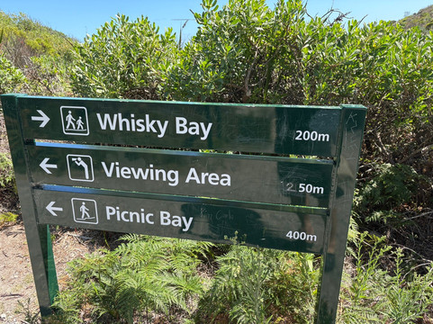 Whisky Beach-威尔逊岬国家公园必去景点