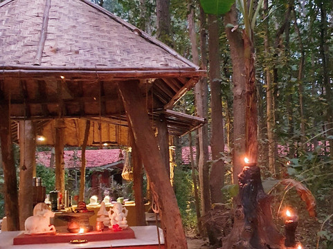 Kanha Jungle Lodge主图