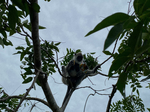 Sri Lanka Trails Travels-Kamburugamuwa必去景点