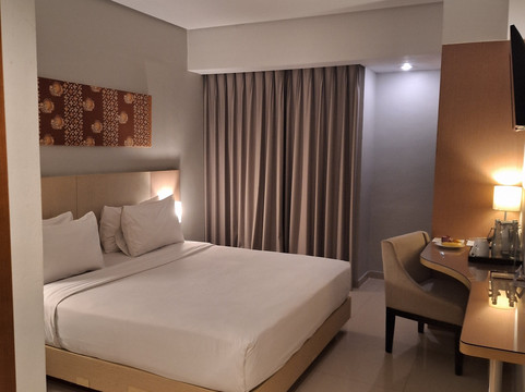 德波珊迪卡酒店主图