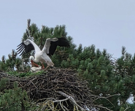 Parc du Marquenterre-Saint-Quentin-en-Tourmont必去景点