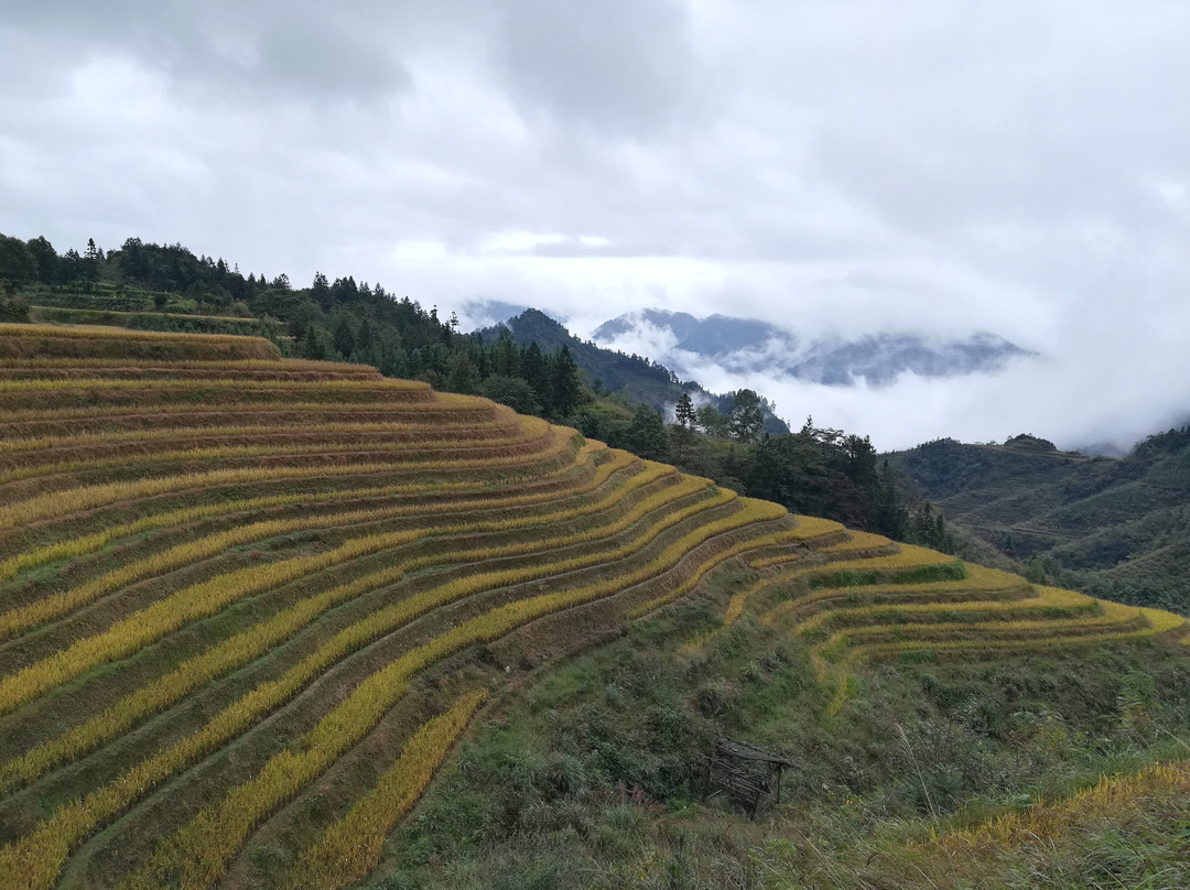 Guilin PrivateTours-桂林市必去景点