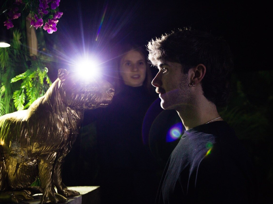 Time-Busters-维也纳必去景点