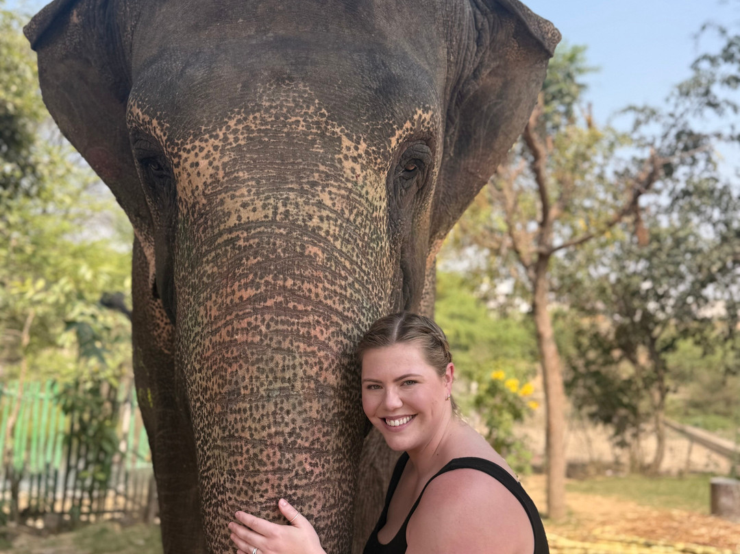 EleSafari-Amer必去景点