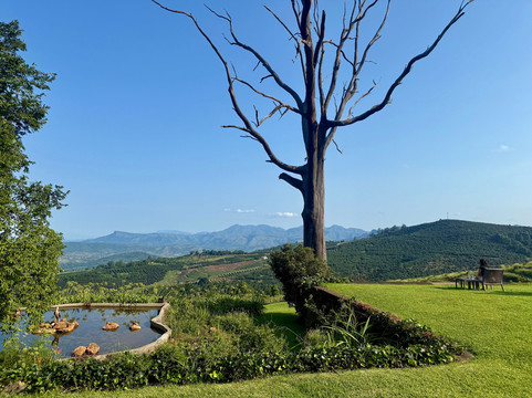 参宁酒店住宿-Kings Walden Garden Manor
