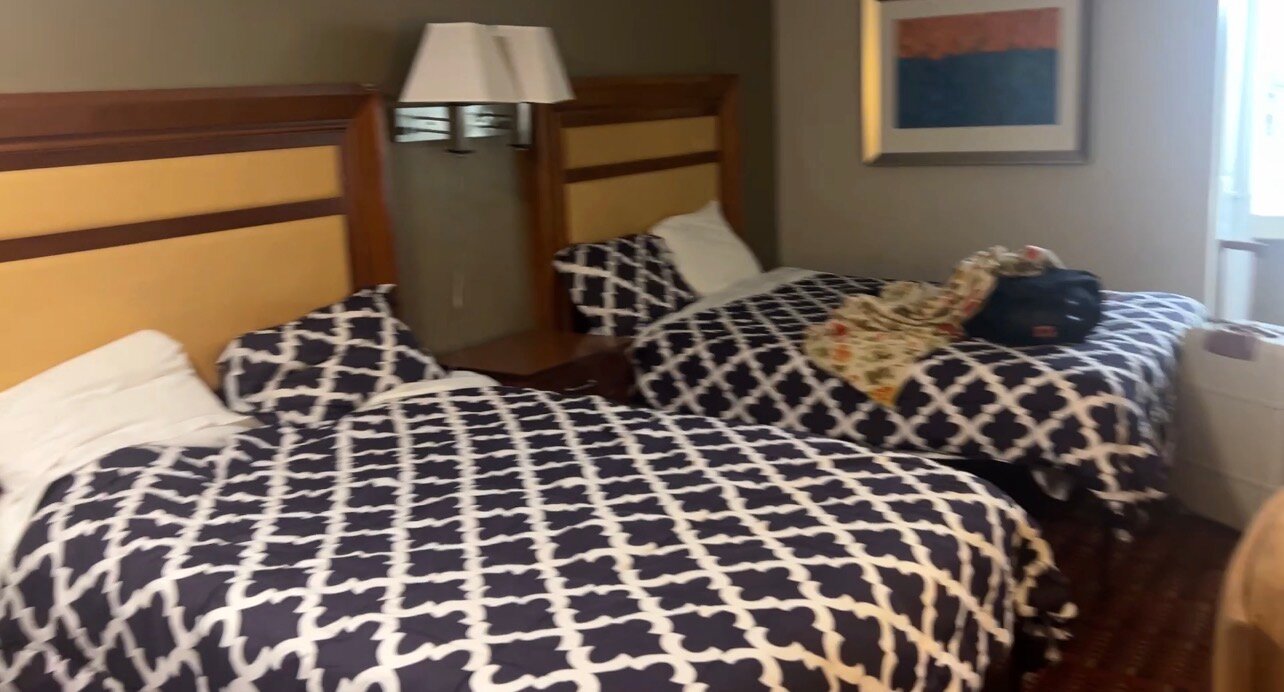 桃子树旅馆-官方