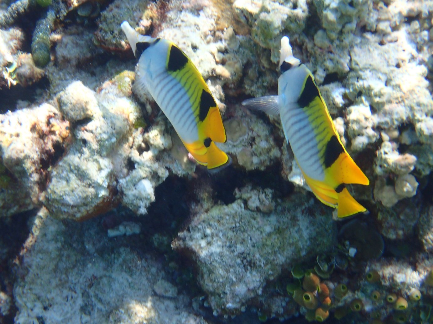 Casa Barabaru-官方