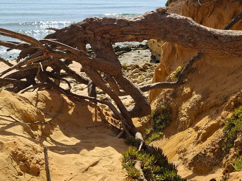 Cliff Boardwalk and Pathway-Olhos de Agua必去景点