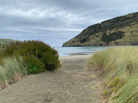 Akaroa's Eastern Bays Scenic Mail Run-阿卡罗阿必去景点