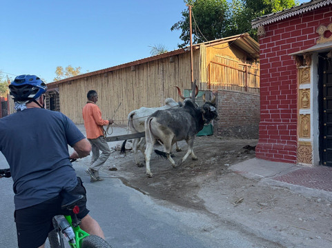 Rajasthan Trekking - Day Treks-乌代布尔必去景点