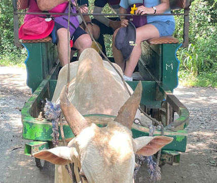 Travel with Asela-Horana必去景点