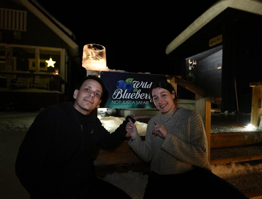 Wild Blueberry-罗瓦涅米必去景点