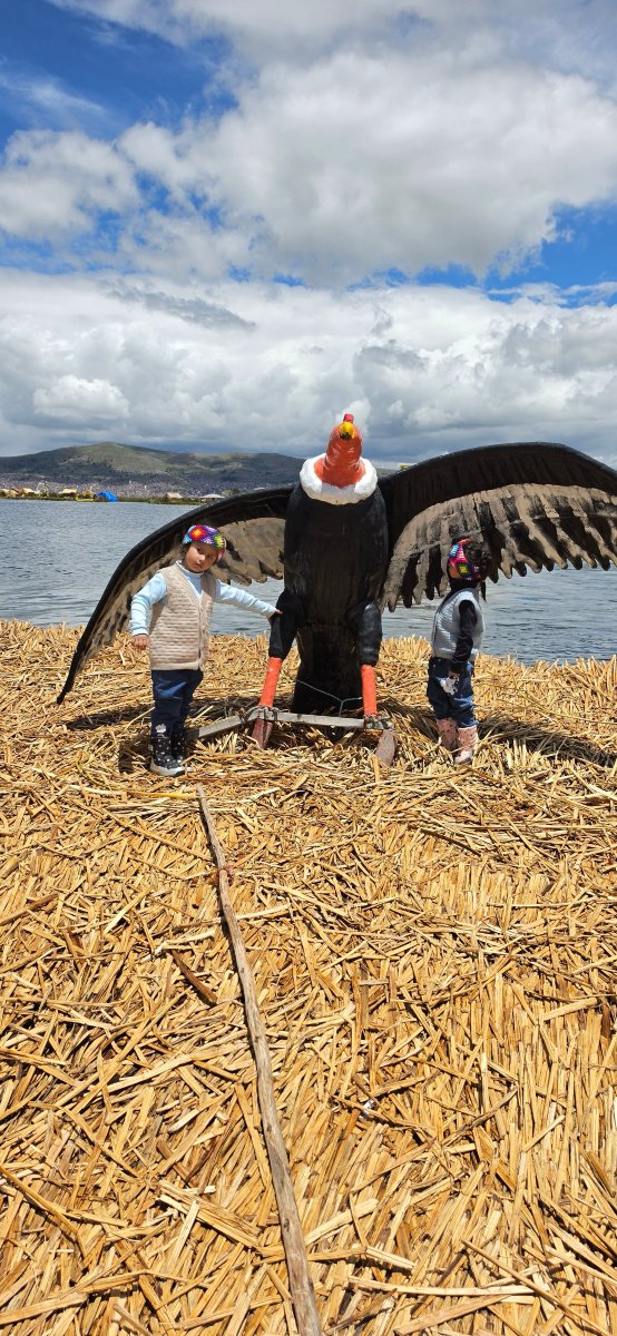 米拉多尔德蒂蒂卡卡-官方