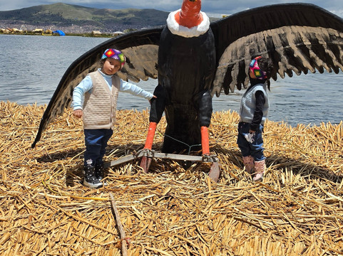 米拉多尔德蒂蒂卡卡主图