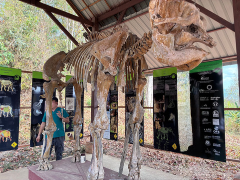 Elephant Conservation Center-Sayaboury必去景点